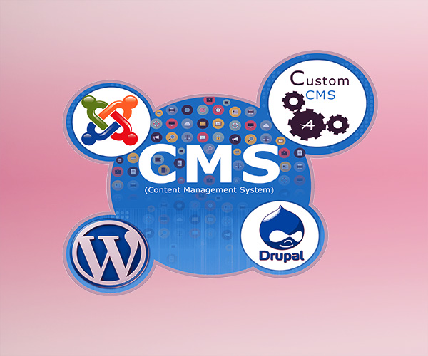 CMS Development