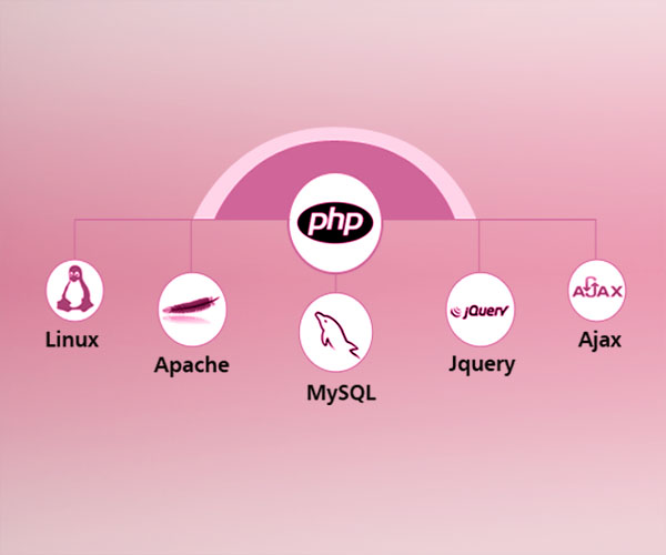 PHP MySQL Web Application Development
