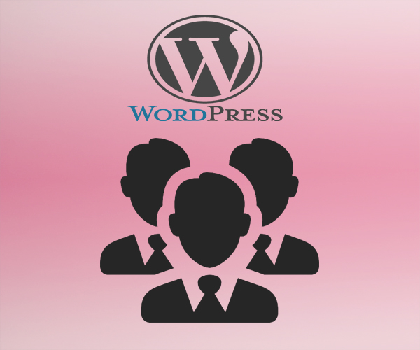 Hire Wordpress Developer