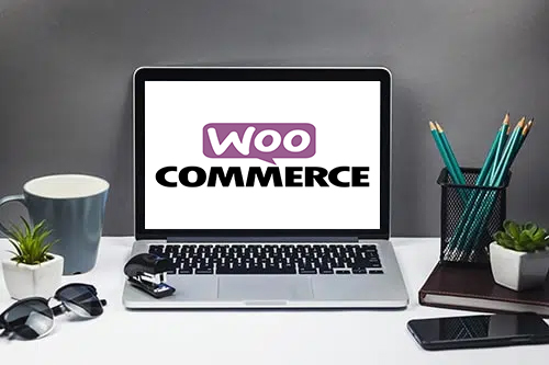 woocommerce-development-services-india-icorethnk